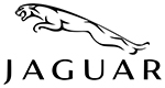 Jaguar dalys detales